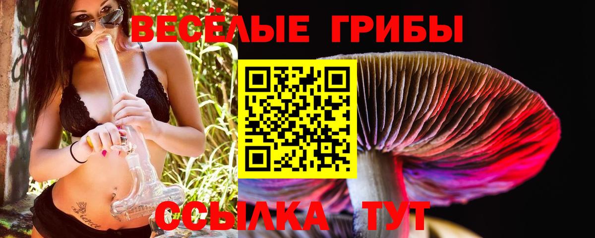 Галлюциногенные грибы Cubensis Томск