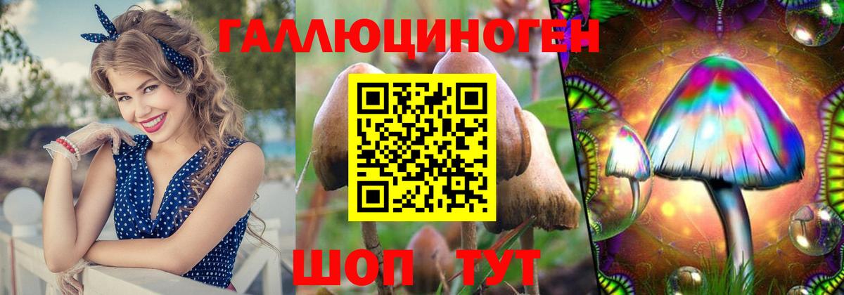 Галлюциногенные грибы GOLDEN TEACHER  Вход с VPN  Томск 